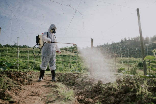 Best Exterminator Services  in Acres Green, CO