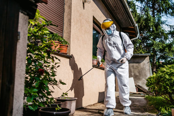 Best Emergency Pest Control  in Acres Green, CO