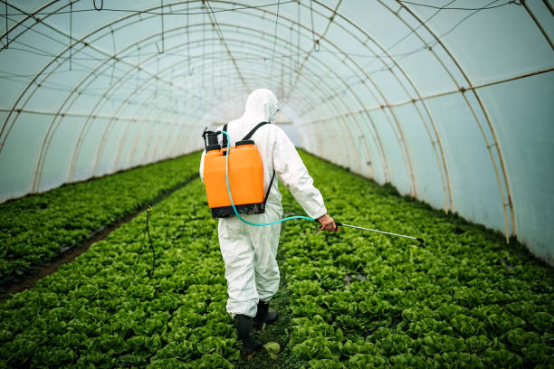 Best Commercial Pest Control Services  in Acres Green, CO