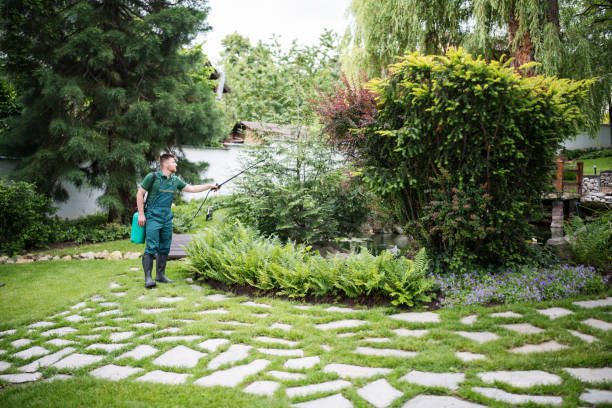 Pest Prevention Services in Acres Green, CO
