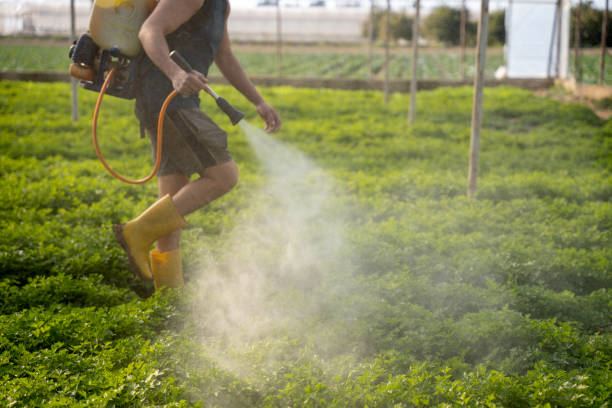 Best Best Pest Control Companies  in Acres Green, CO